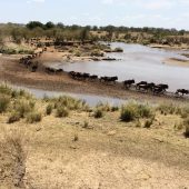  The Serengeti, TZ